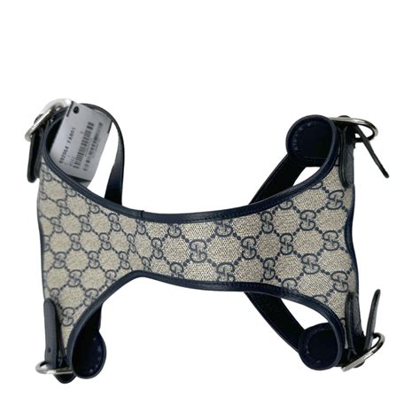 pettorina gucci cane